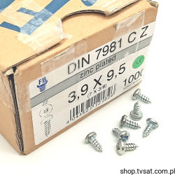 K3,9x9,5-DIN7981-C 2.9x9.5/DIN791CZ SCREW FB