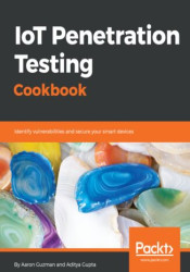 IoT Penetration Testing Cookbook. Identify vulnerabilities and secure your smart devices - ebook