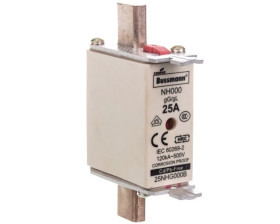 Wkładka bezpiecznikowa NH000 25A gL/gG 500V 25NHG000B