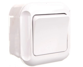 TURKUS-BIS Przycisk zwierny /światło/ n/t biały WNT-6Tb