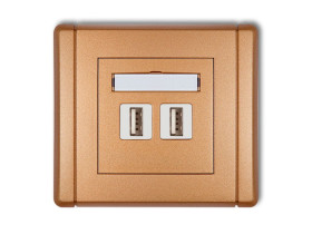 FLEXI Gniazdo USBx2 podwójne-AA 2.0 złoty metalik 8FGUSB-2 KARLIK