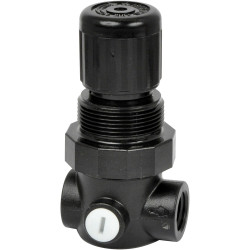 Norgren R91W-2GK-NEN Miniature Regulator G1/4 0.3 to 3.5 Bar