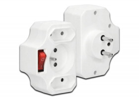 ROZGALEZNIK SIECIOWY: 3 GNIAZDA: 2PLASKI