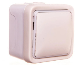 PLEXO55 Wyjście kablowe białe 069779