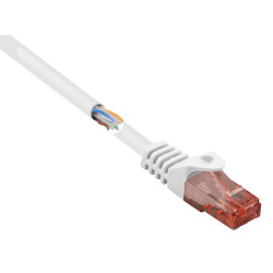 Renkforce RF-5043890 RJ45 Network cable CAT 6 U/UTP White 0.25 m Halogen-free