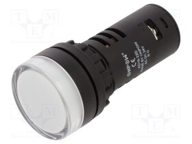 AD16-22D/RG/24V