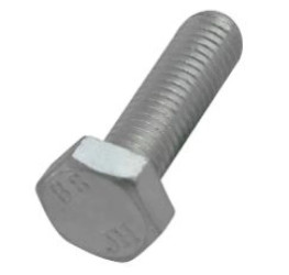 BIS Śruba z łbem sześciokątnym M10x30mm 6143930
