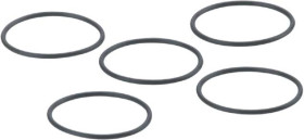 ifm Electronic E30511 O-Ring E30511 5 szt.