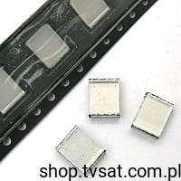 B32540-B1224-K63 220nF 100V 10% MKT SMD SMD-2824 EPCOS