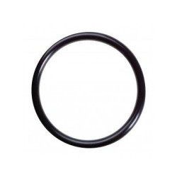 Gasket (O-ring)