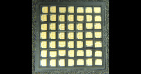 Raw Silicon Chip (Die)