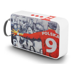 Głośnik przenośny LTC Bluetooth 2x5W LTC USB SD AUX aku.1,8Ah / LxPL2018