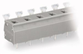 PCB terminal, 12 pole, pitch 10 mm, AWG 28-12, 24 A, cage clamp, gray, 255-612