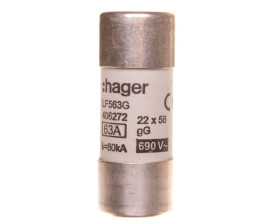 Bezpiecznik cylindryczny BiWtz 22x58 gG 63A LF563G