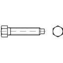 Śruba z łbem sześciokątnym TOOLCRAFT 108828 M20 60 mm DIN 561 10 szt.