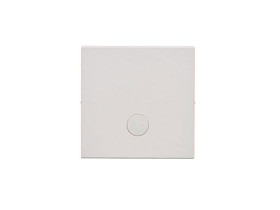 SIMON 55 Klawisz pojedynczy z oczkiem do: SW1M, SW6M, SW7M, SP1M jasnoszary mat TKW1L/114 KONTAKT SIMON