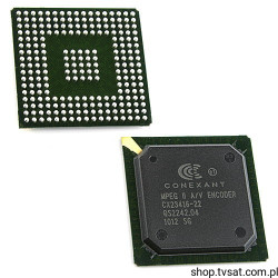 CX23416-22 MPEG-2 Audio Video Encoder SMD-BGA233 CONEXANT