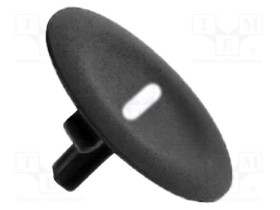 ZBA2935
