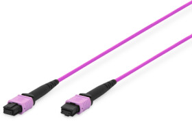 FO patch cable, MPO socket to MPO socket, 15 m, OM4, multimode 50/125 µm, DK-2566-15/4