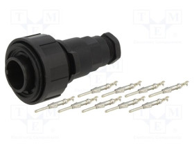 PXV0728/P