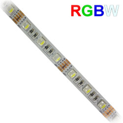Taśma LED SMD5050 RGB+CW(1m)(300 RGBW biały zimny wersja PREMIUM 12VDC