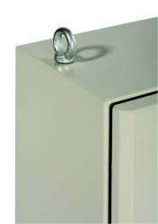 Zestaw 2 śrub oczkowych M8. Maksymalne obciążenie: 210 kg NSYAELYTCRG8