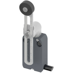 Pizzato Elettrica NF B112KP-DN2 Limit Switch 250V 4A IP67 Pivot Lever