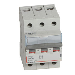 FR 303 100A 230/400V~ Legrand 406469
