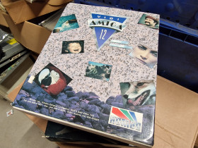 Vidi Amiga 12