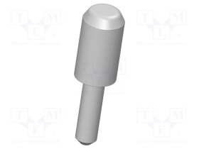IGN-38894