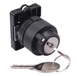 Techna PtecK2CRL 2 Position Plastic Key Switch