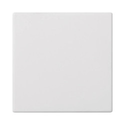 Simon Connect Zaślepka S500 pojedyncza 50x50mm, czysta