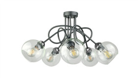 Lampa Sufitowa Nowoczesna 5Xe27 Evie Black/Silver
