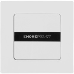 HOMEPILOT 12501001 Wireless Wall Switch Surface-Mount 1 piece