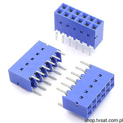 89847-406 Socket 2 x 6 Pin THT FCIELECTR