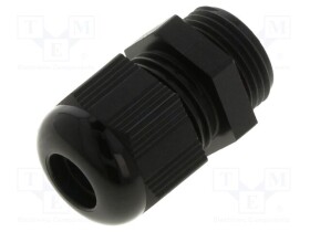 AIO-BSCS-23
