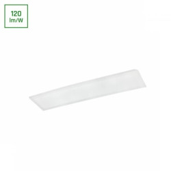 ALGINE PANEL BACKLIGHT 40W CW 230V 120st IP20 300x1200x25 BIAŁY