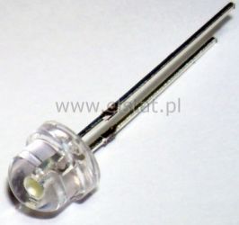 LED 5mm biała zimna, 3V , 20mA , niska, 180 stopni