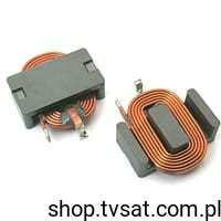 CA955-5608-01-00-00 Coil Ferrite Core SMD