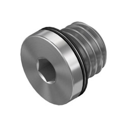 FESTO 174309 blind plug DIN 908 with sealing ring hex socket SW3