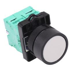 Techna PtecPNWhite White Flush Push Button Switch 10A 2NO