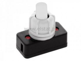Przełącznik lampkowy; biały 2A/230V