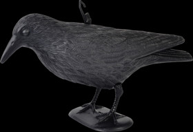 60093INT Pigeon repellent crow
