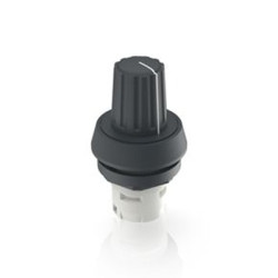 Element przełączający przycisków RAFI RAFIX blokada Blok stykowy i świetlny