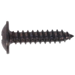 Sealey BST4219 Self Tapping Screw 4.2 x 19mm Flanged Head Black Pozi Pack Of 100