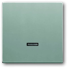 Busch-Jaeger 6543-83-101 2CKA006599A2887 Moduł wejściowy brak aluminiowy, aluminium (ral 9006) 1 szt.