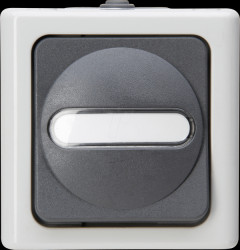 560656006 BLUE ELECTRIC damp-proof switch, off/changeover, grey