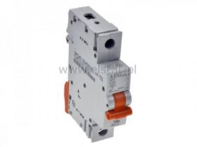 25A wyłącznik bezp. siec. zwłoczny DE91-C25 AEG
