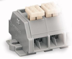 4-wire terminal strip, spring-clamp connection, 0.08-2.5 mm², 2 pole, 24 A, 6 kV, gray, 261-202/332-000