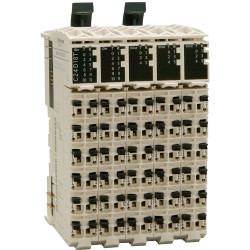 Moduł rozszerzeń Schneider Electric TM5C24D12R